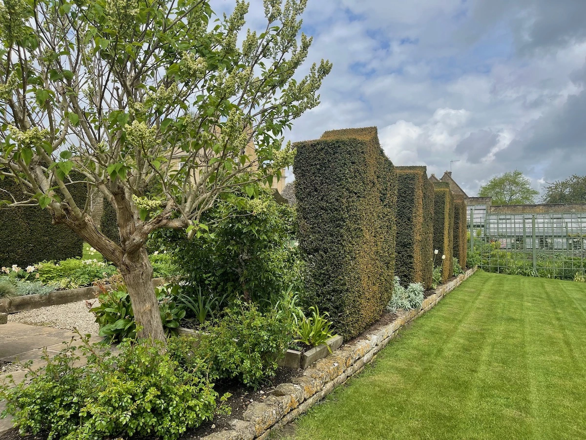 topiary hedges in Bourton on the Hill