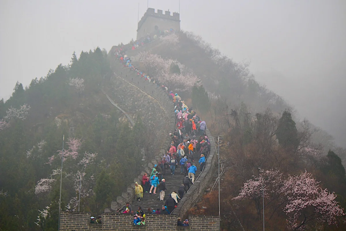 Foggy Wall of China - Cherry Blossoms