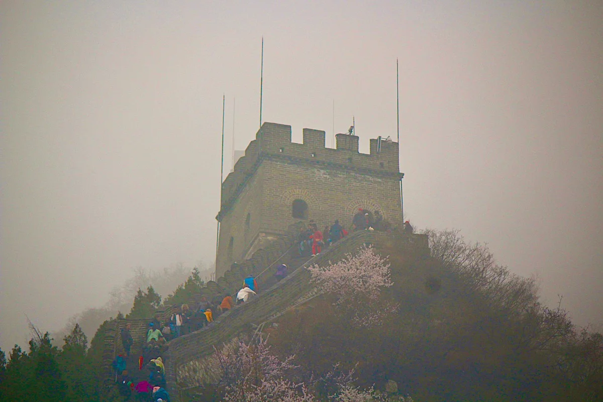 Watch Tower with Cherry Blossoms